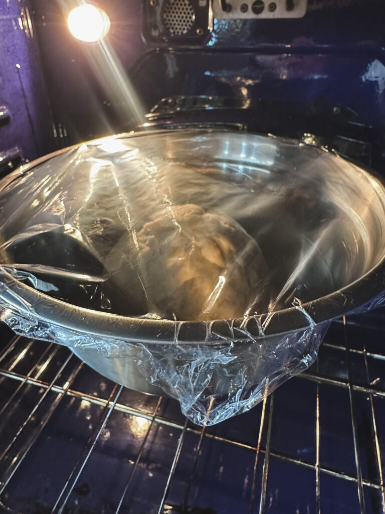 Place the dough in a lightly greased bowl, cover, and let it rise in a warm spot for first rise.